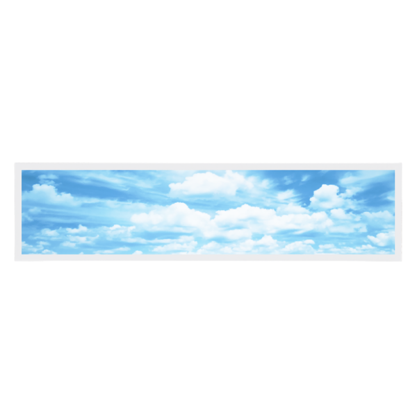 1-VBLFP-BL-312-1-SKY1.png